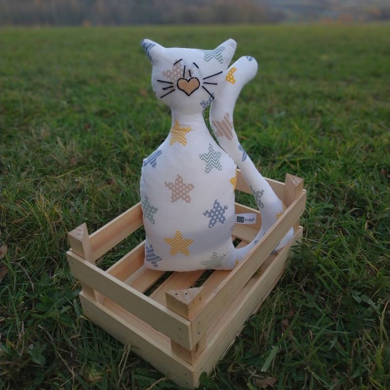 Kočka
